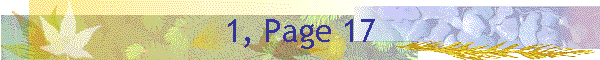1, Page 17