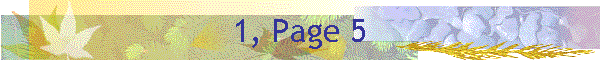 1, Page 5