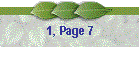 1, Page 7