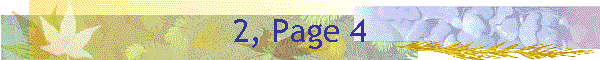 2, Page 4