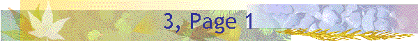3, Page 1
