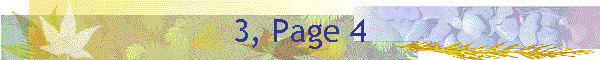 3, Page 4