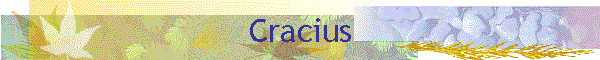 Cracius