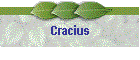 Cracius
