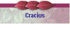 Cracius