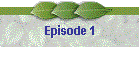 Episode 1