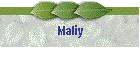 Maliy