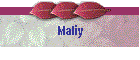Maliy