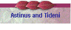 Astinus and Tideni