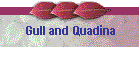 Gull and Quadina
