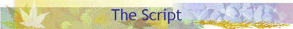 The Script